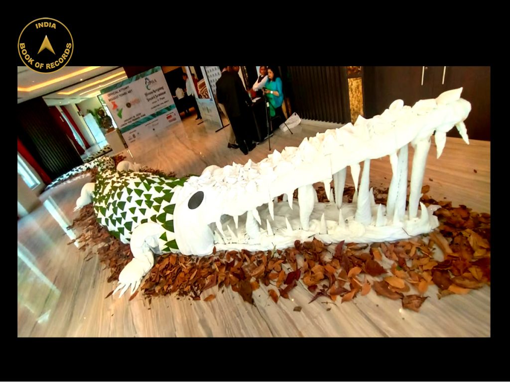 Biggest towel art India Book of Records
