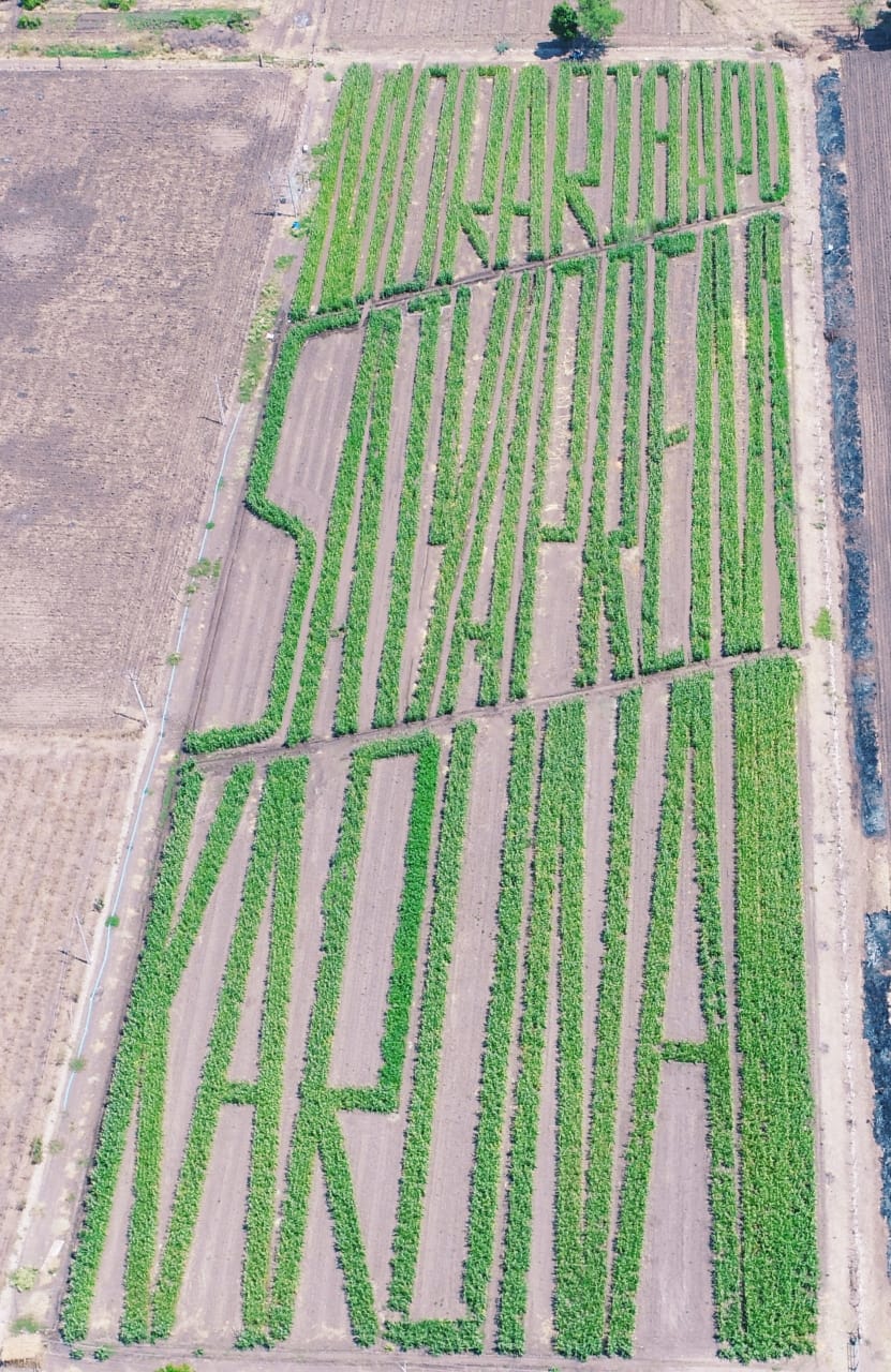 Precision Farming producing Word Formations