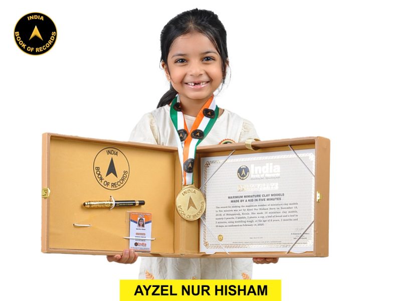 Ayzel Nur Hisham