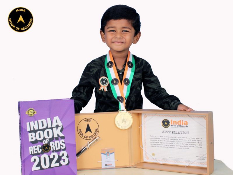 Kushik K. V.