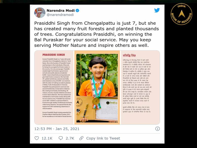 Little fruit forest creator